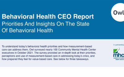 Infographic: Behavioral Health CEO Report