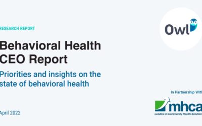 Behavioral Health CEO Report: Priorities and insights on the state of behavioral health